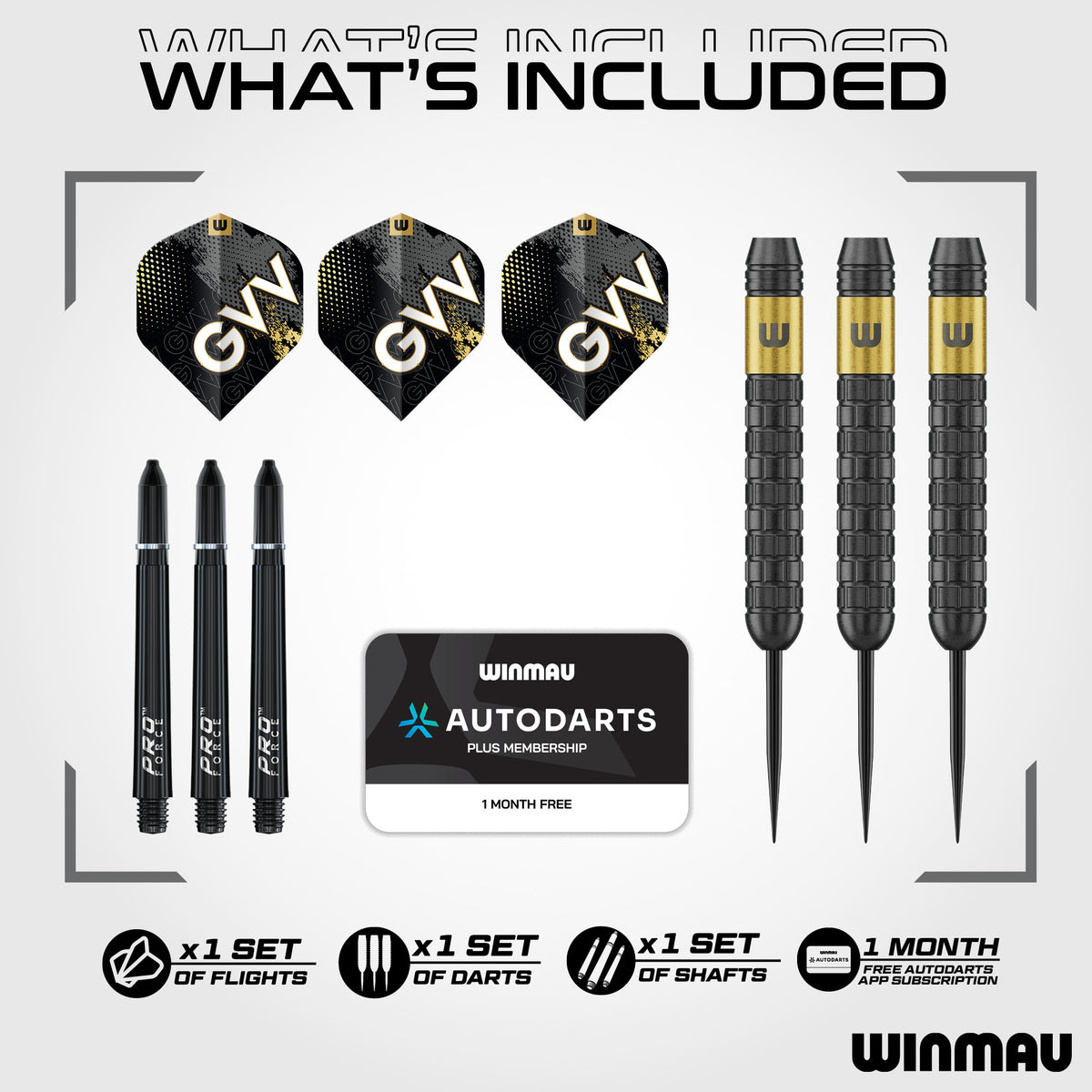 Winmau Gian Van Veen Core Brass Darts - 21g