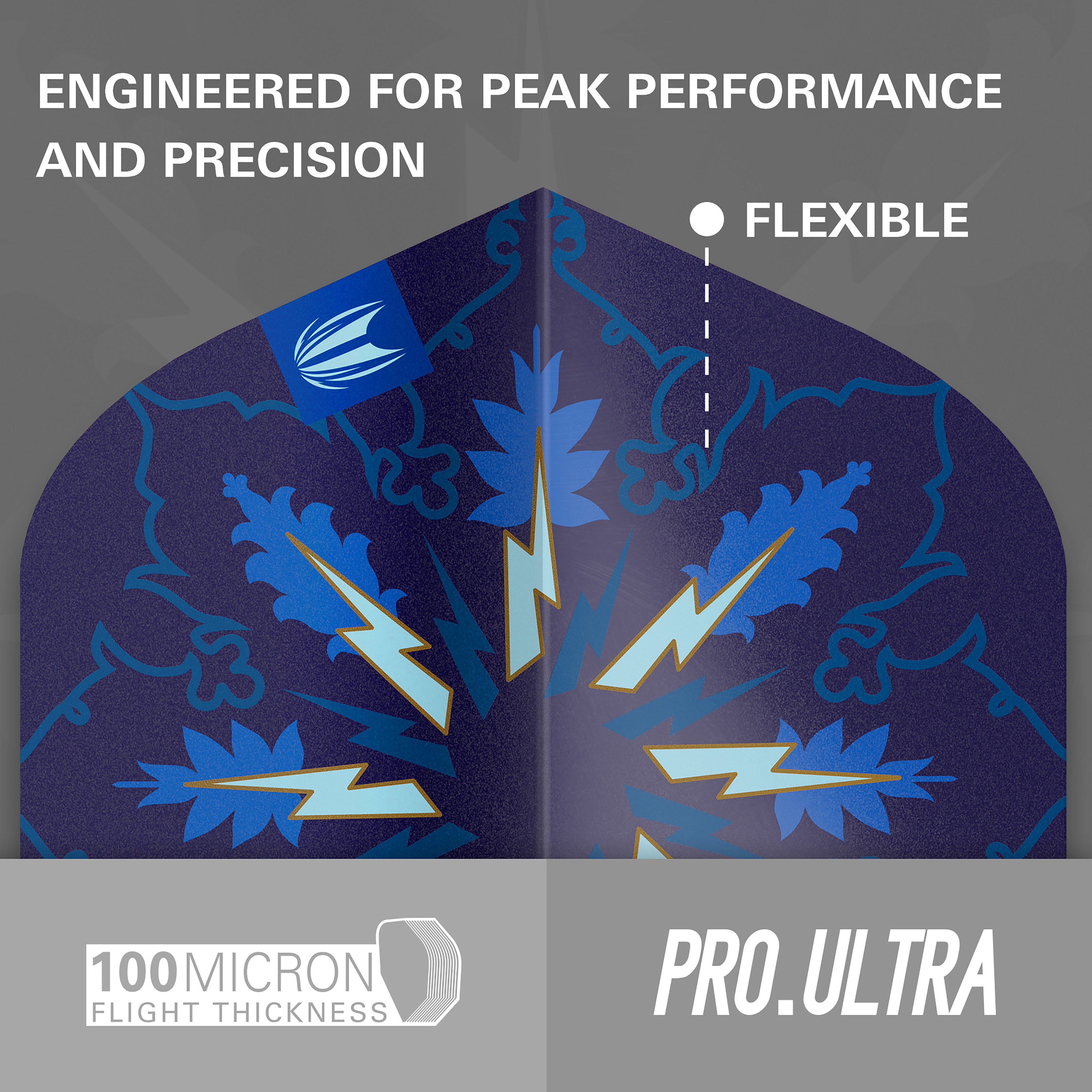 Target Phil Taylor - The Power - Gx2 - No2 - Standard - 3 Sets Included