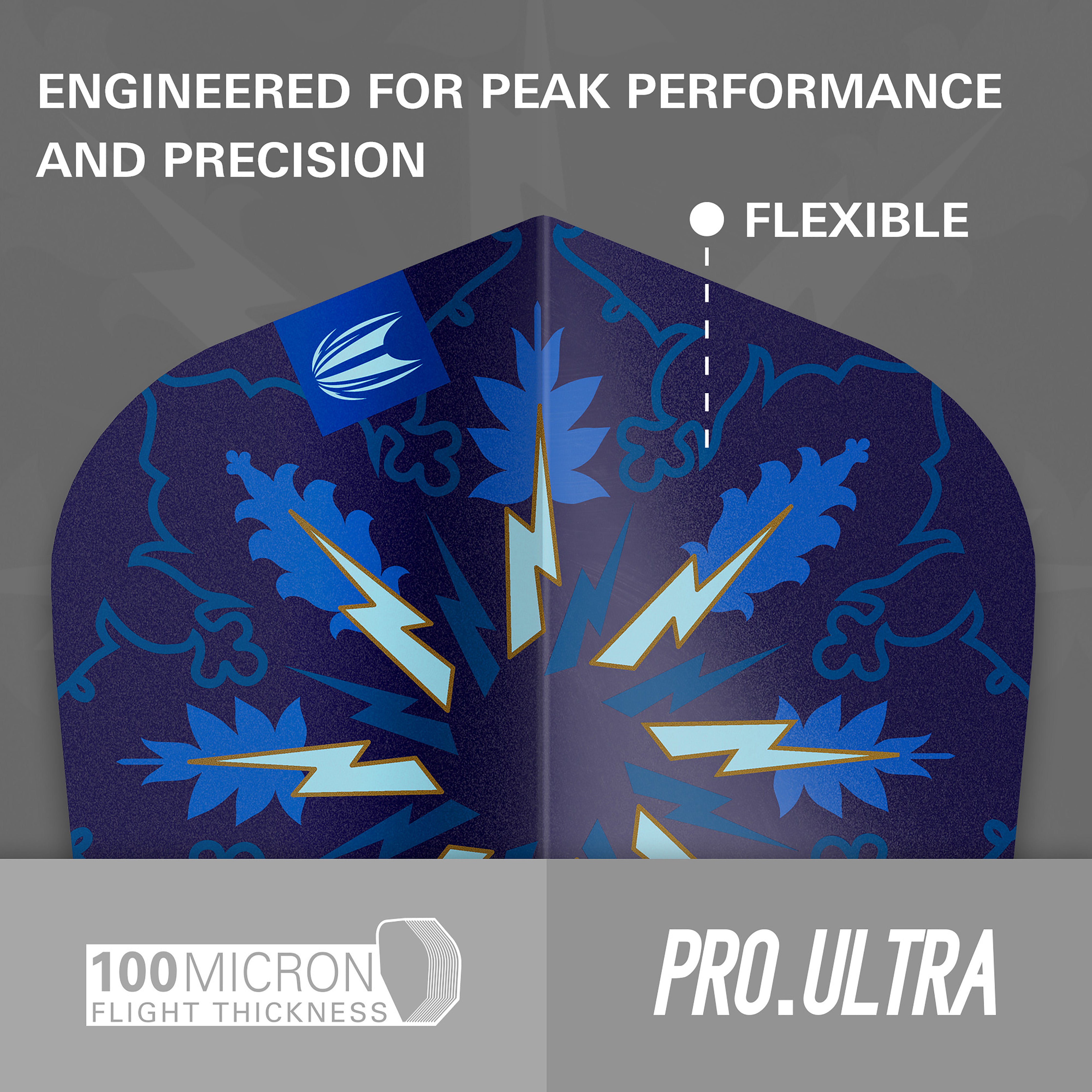 Target Phil Taylor - The Power - Gx2 - No6 - Standard - 3 Sets Included