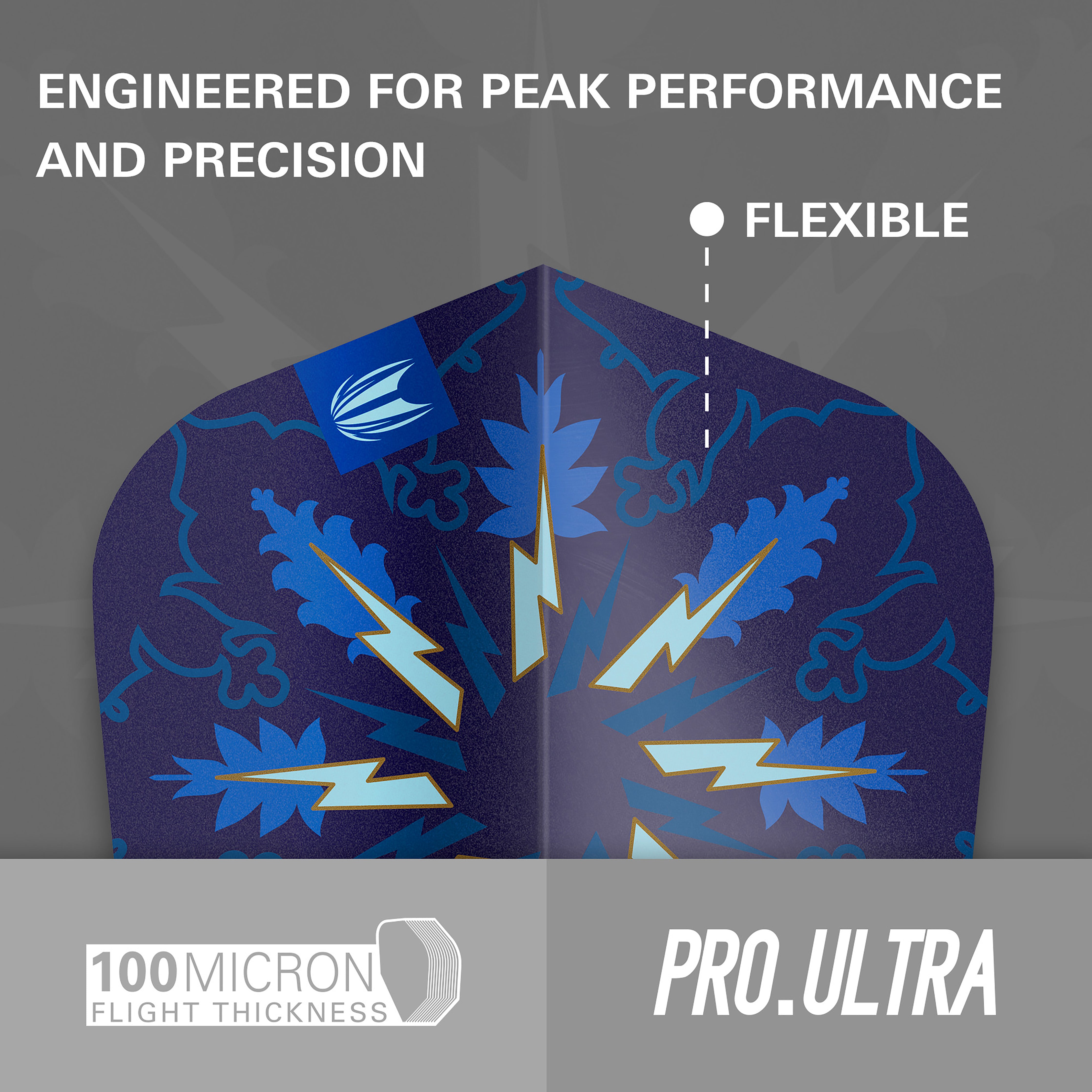 Target Phil Taylor - The Power - Gx2 - Ten-X - Standard - 3 Sets Included