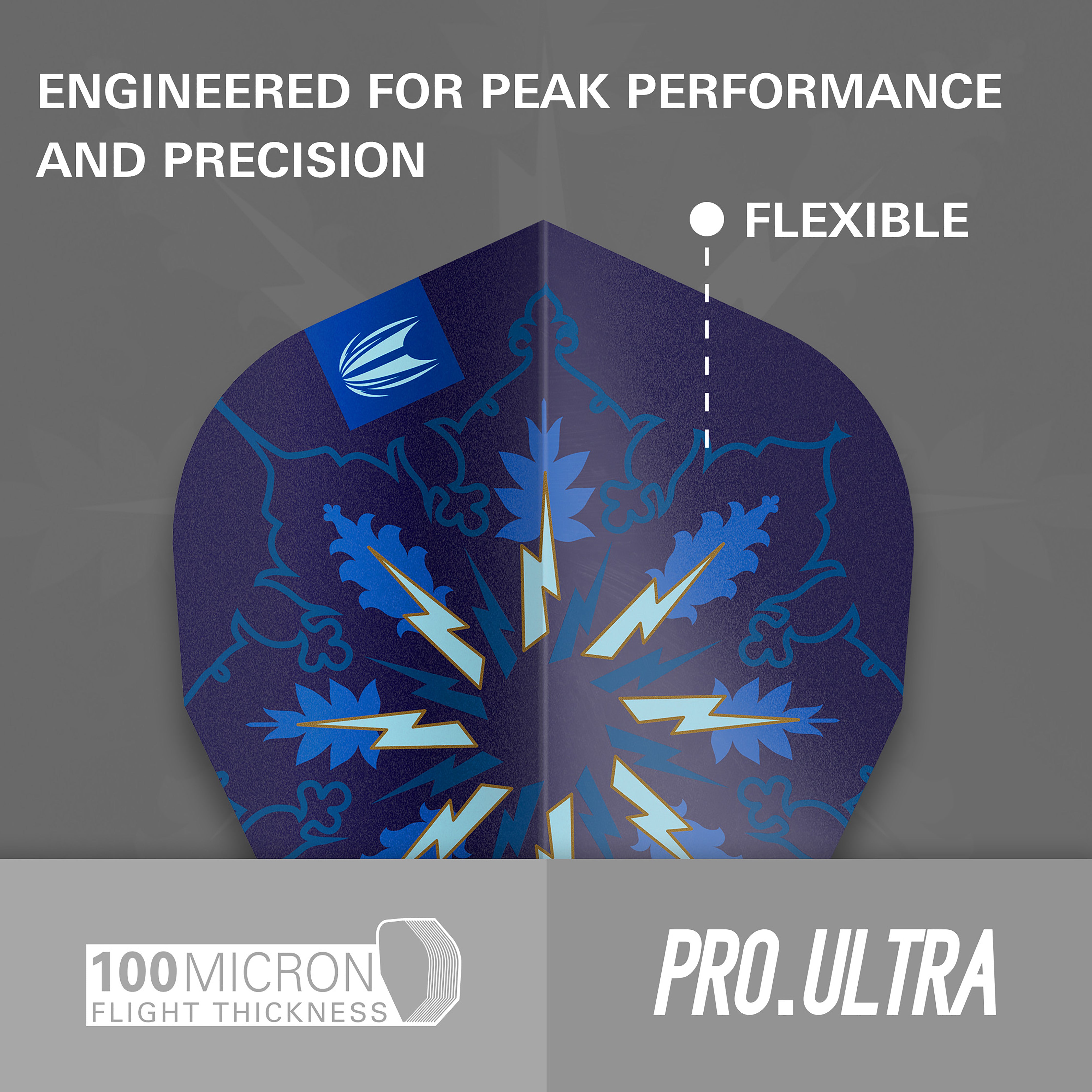 Target Phil Taylor - The Power - Gx2 - Vapor - 3 Sets Included