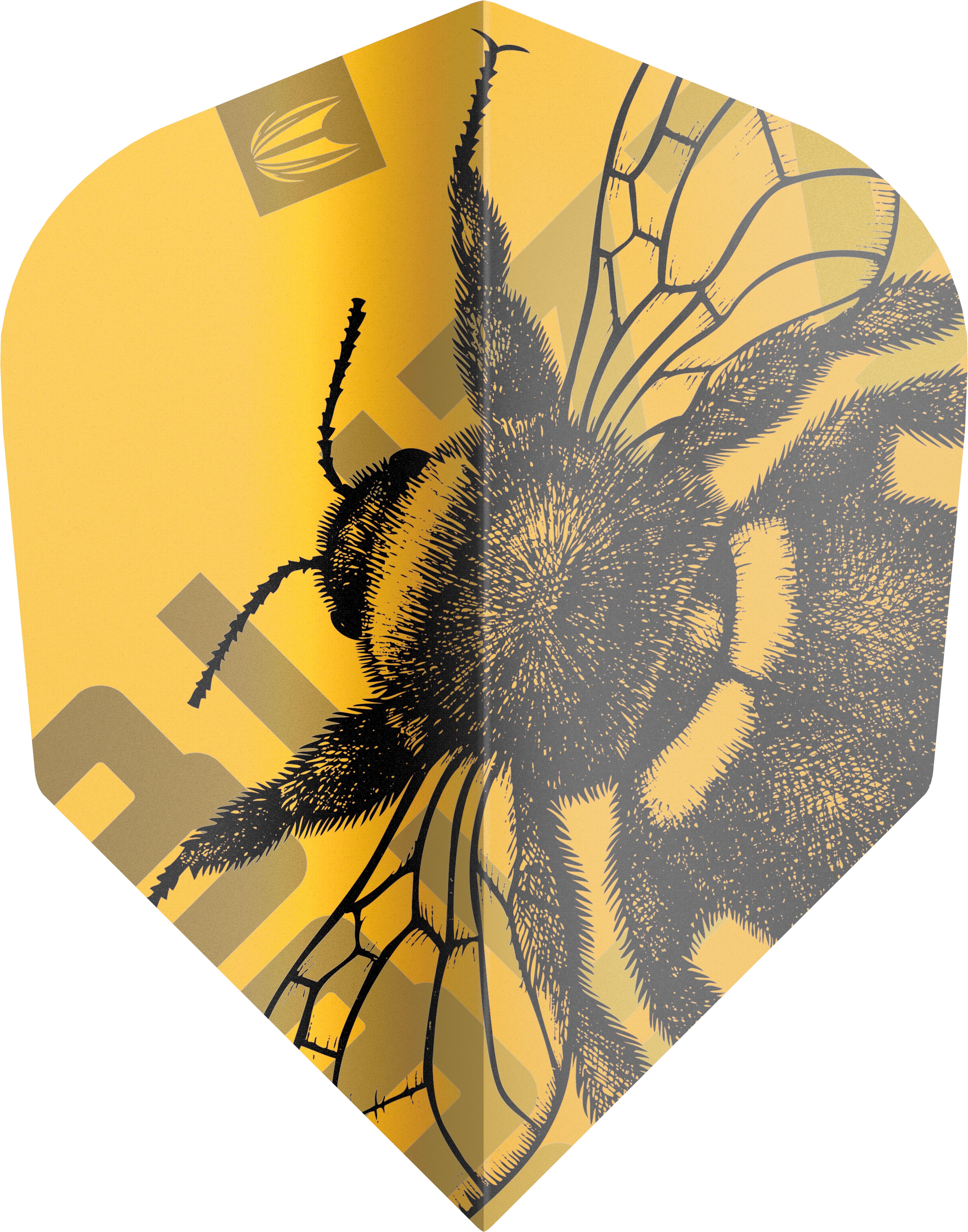 Target Buzz Pro Ultra Bagged Set of 3 Flights - No2 No6 Ten-X