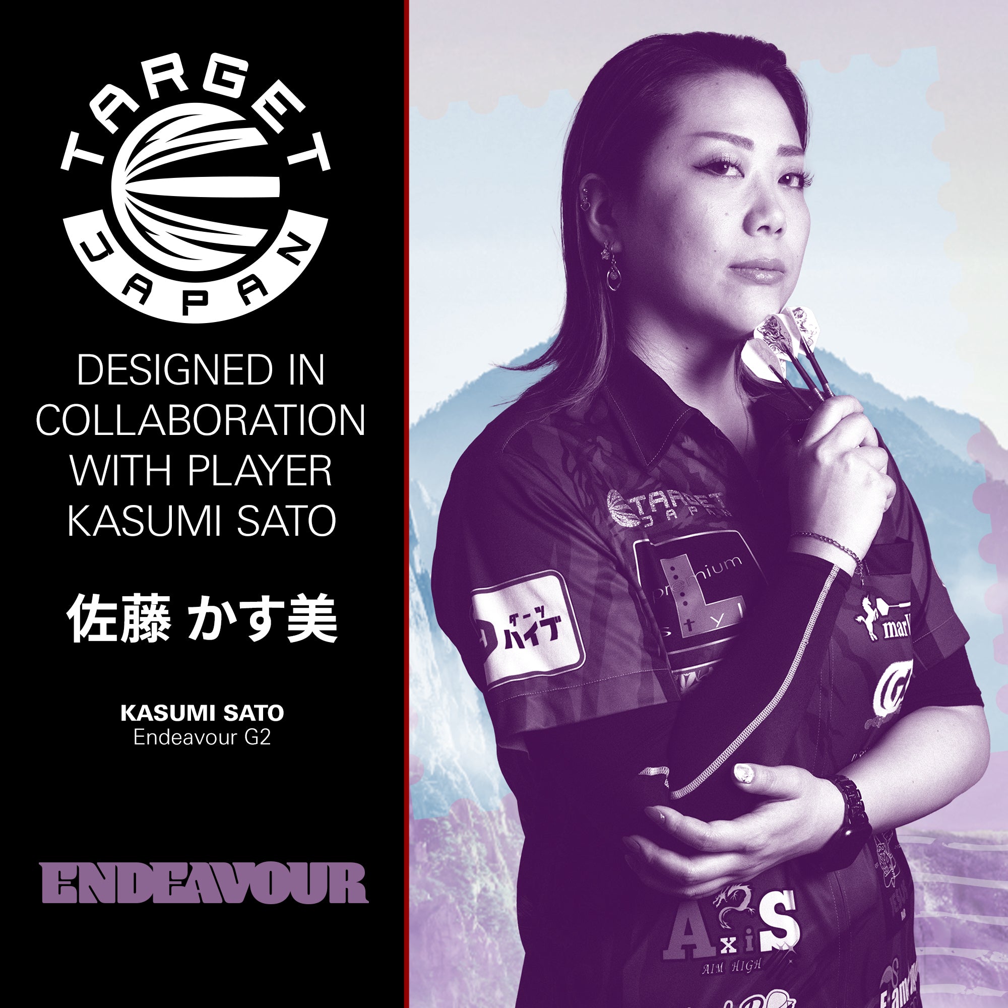 Target Japan Endeavour Gen 2 Darts - 90% Tungsten - Swiss Point - 22g 24g