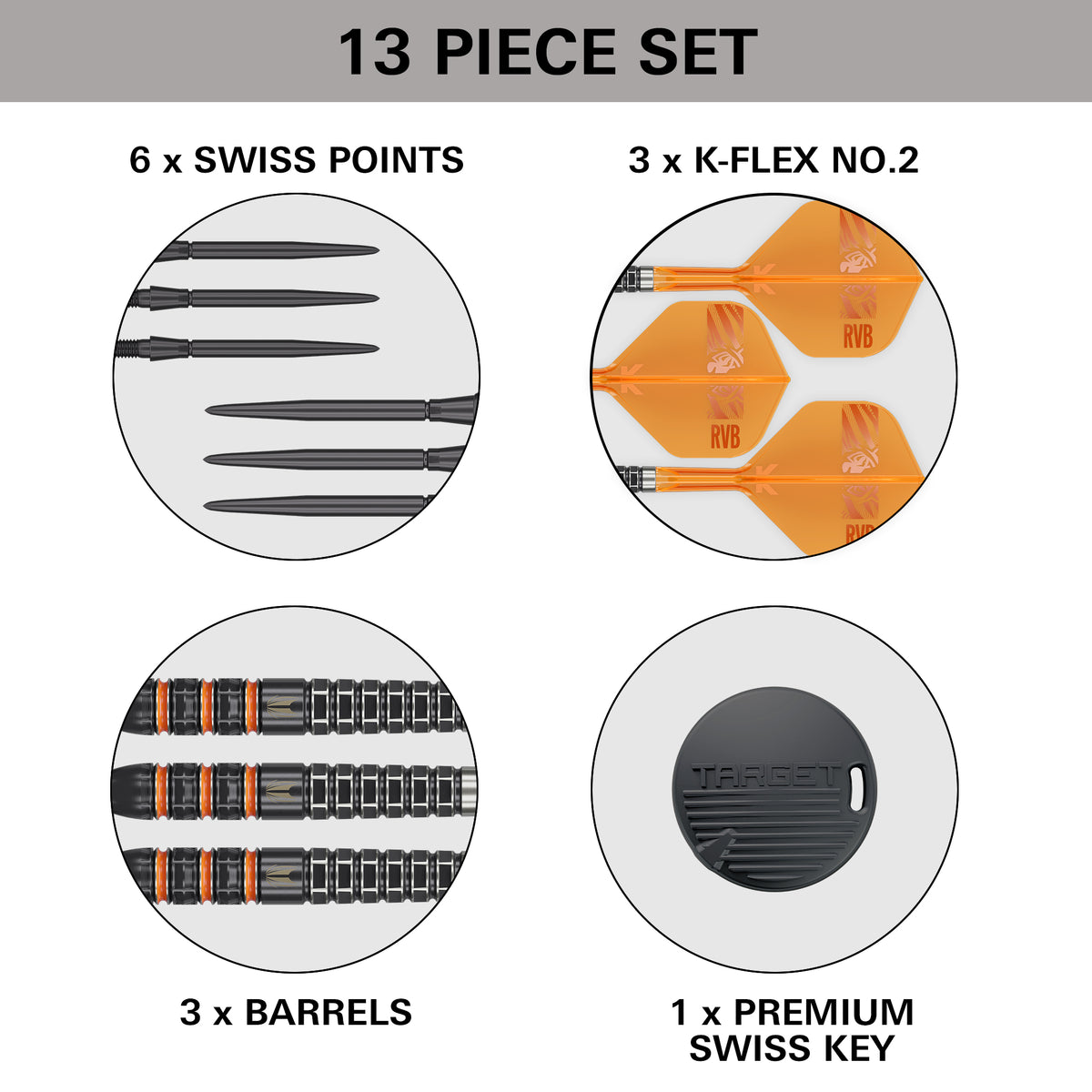 Target Raymond Van Barneveld - 95K - SP Steel Tip Darts - 21g 23g 25g