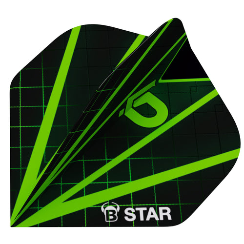 BULL's B-Star Luc Peters Standard Dart Flights