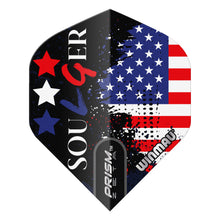 Winmau Leonard Gates - Prism Zeta - Soulger Flag - USA Dart Flights