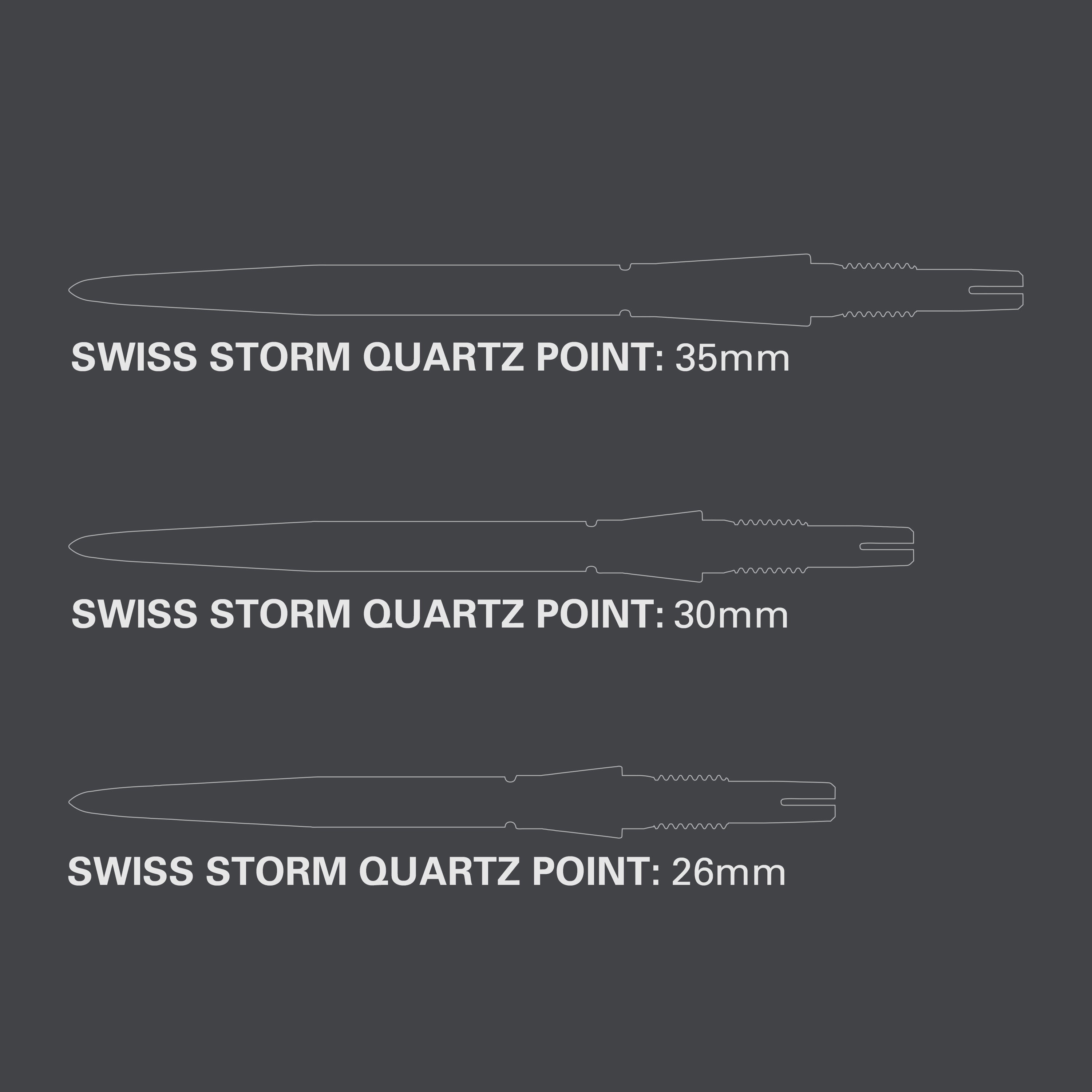 Target Swiss Storm LNC Point Silver 2024 - 26mm 30mm 35mm
