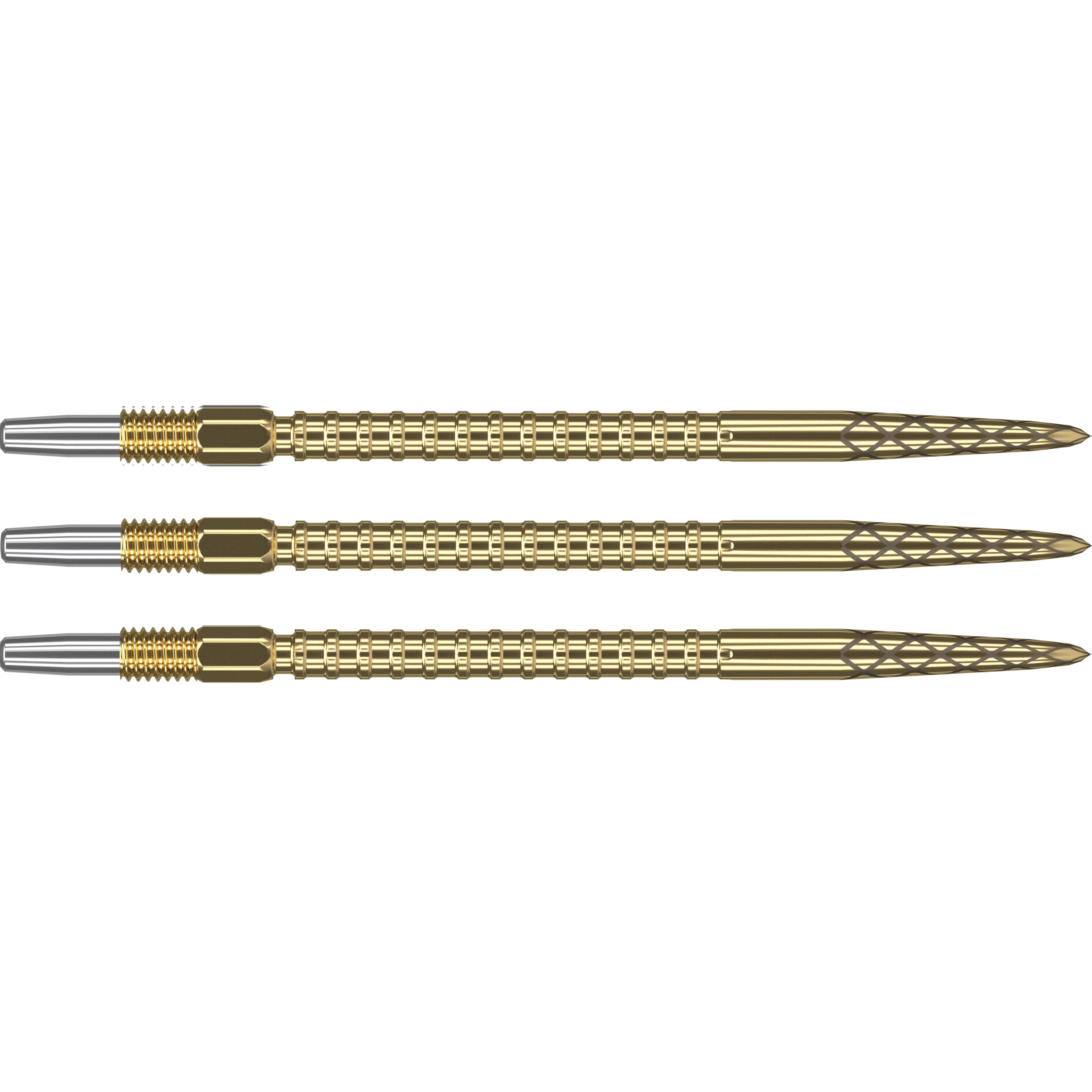 Target Swiss DS Points 40MM - Gold - 2024