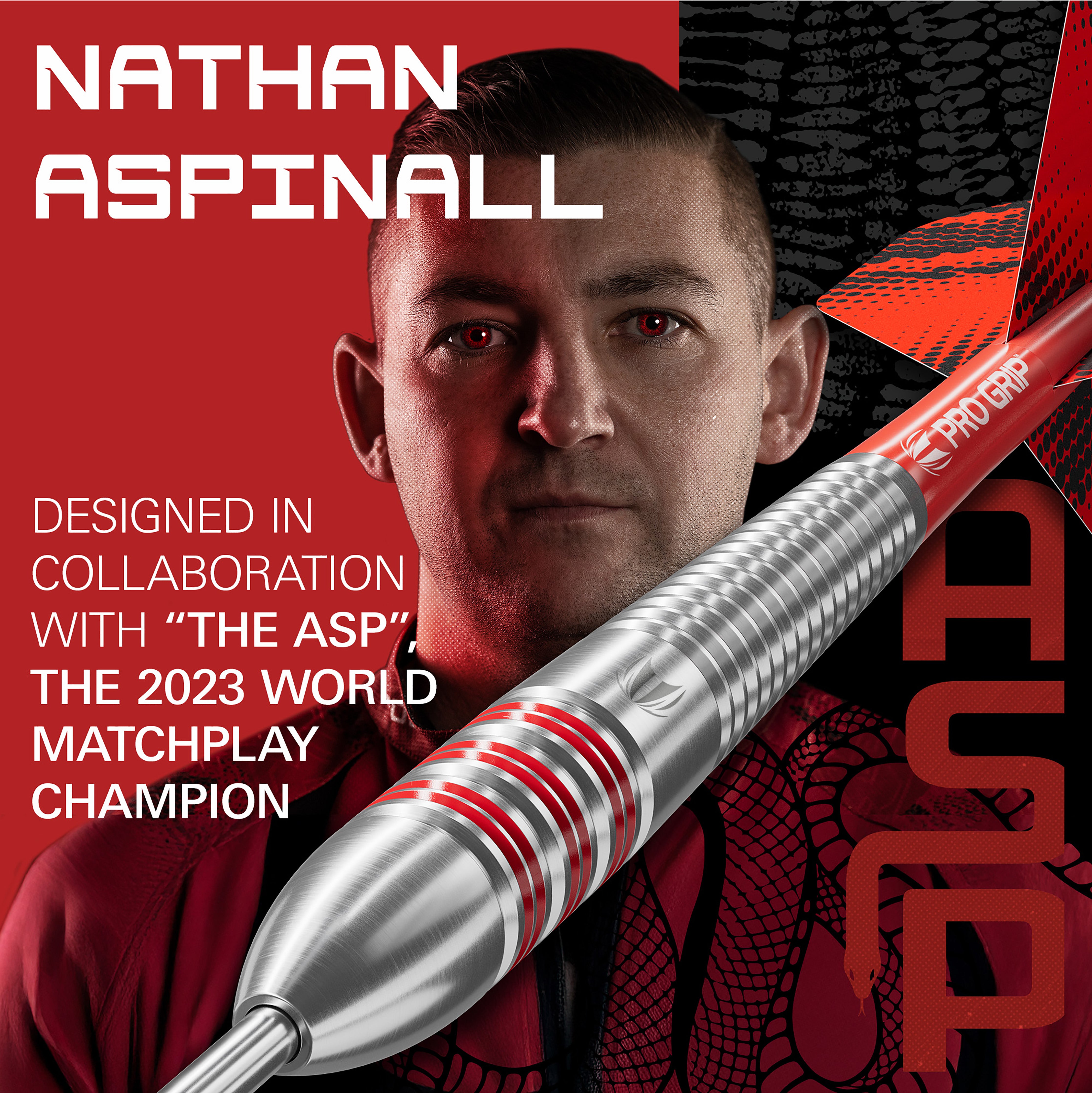 Target Nathan 'The ASP' Aspinall Brass Steel Tip Darts - 22g