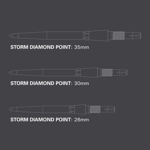 Target - Swiss Storm Diamond Point - 2024 - Silver - 26mm 30mm 35mm