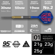 Target Raymond Van Barneveld - 95% Tungsten Darts - Gen 6 - Swiss Points - 21g 23g 25g