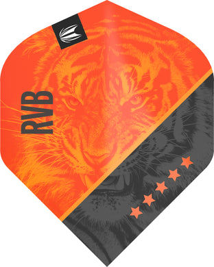 Target Raymond Van Barneveld - RVB - Pro Ultra - G4 - No2 - Dart Flights