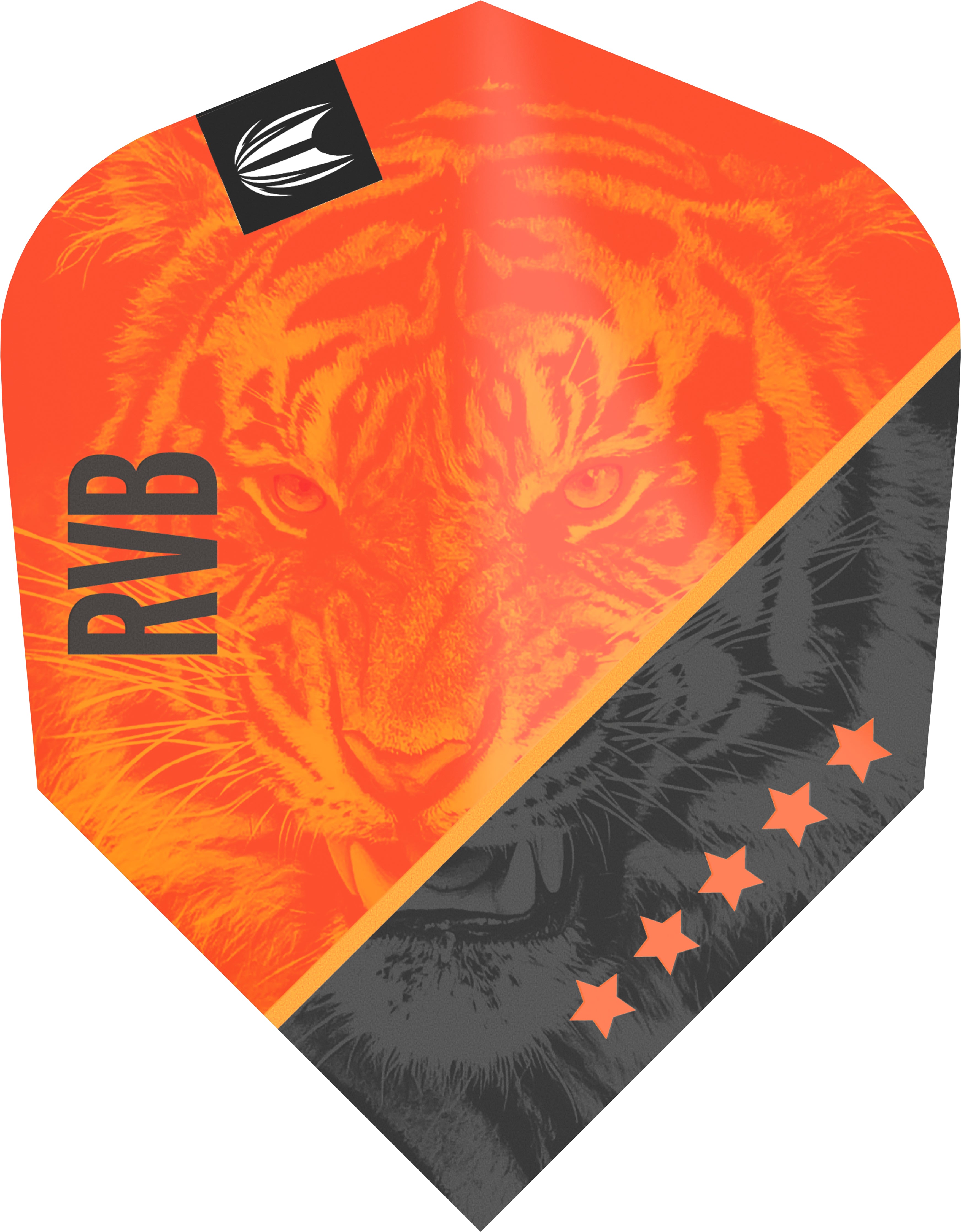 Target Raymond Van Barneveld - RVB - Pro Ultra - G4 - Ten-X - Dart Flights