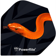 BULL'S Powerflite Mamba | A Standard Shape - Snake