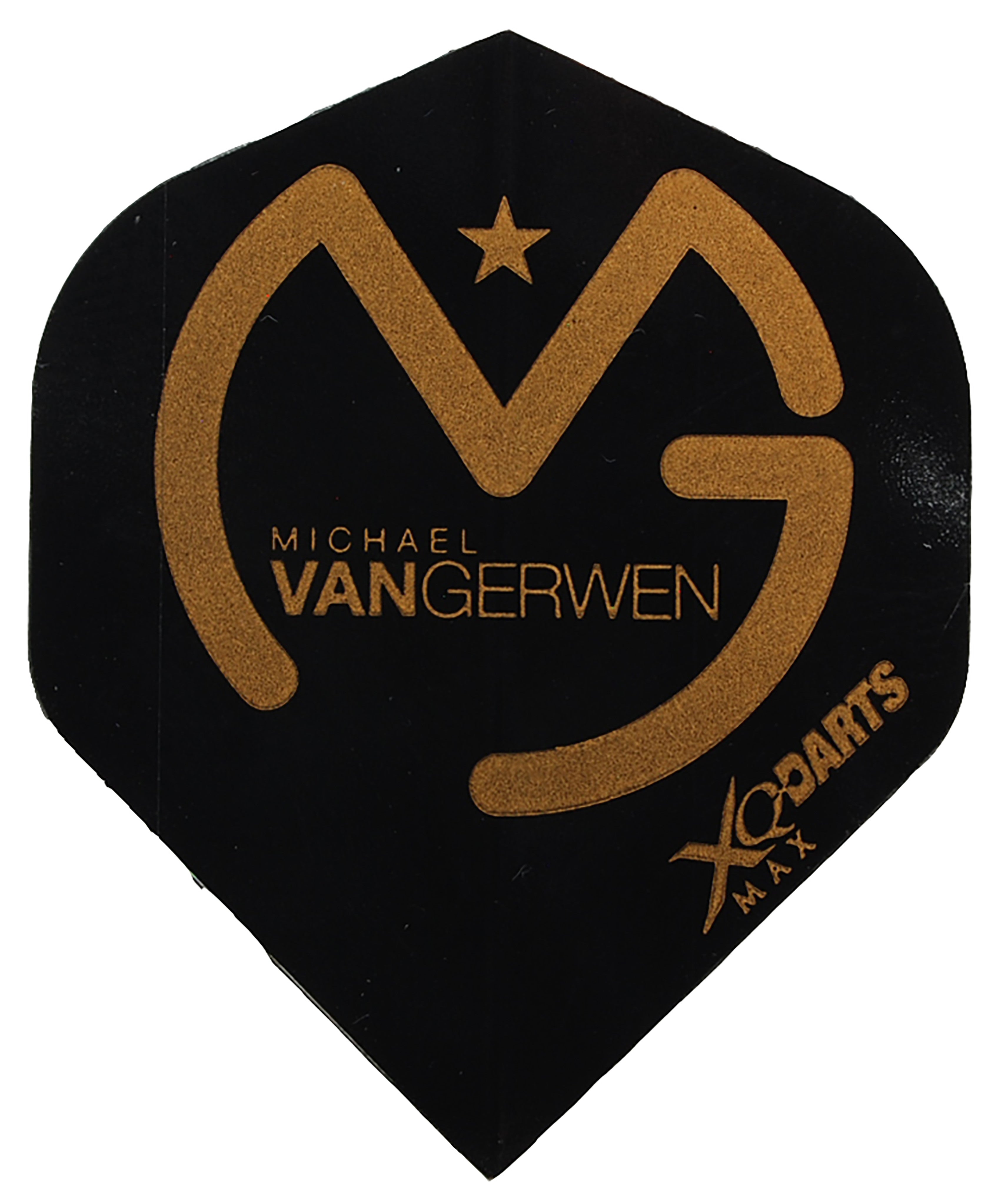 Michael van Gerwen flights